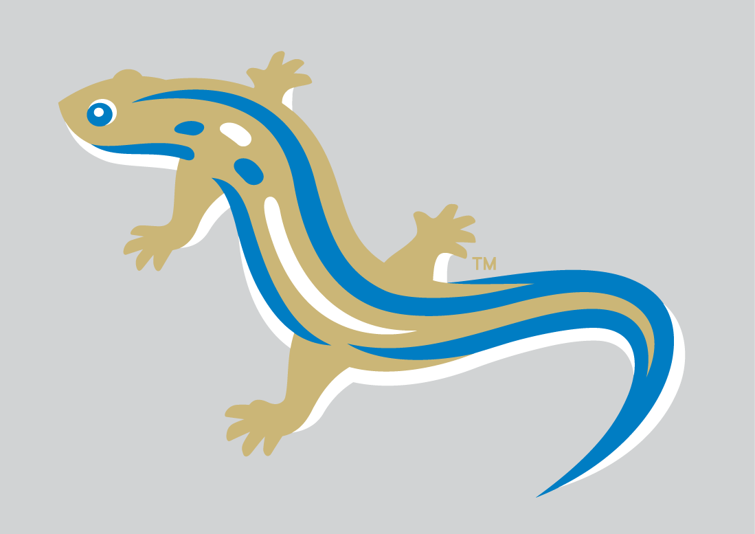 Holly Springs Salamanders 2015-Pres Alternate Logo v2 iron on transfers for T-shirts